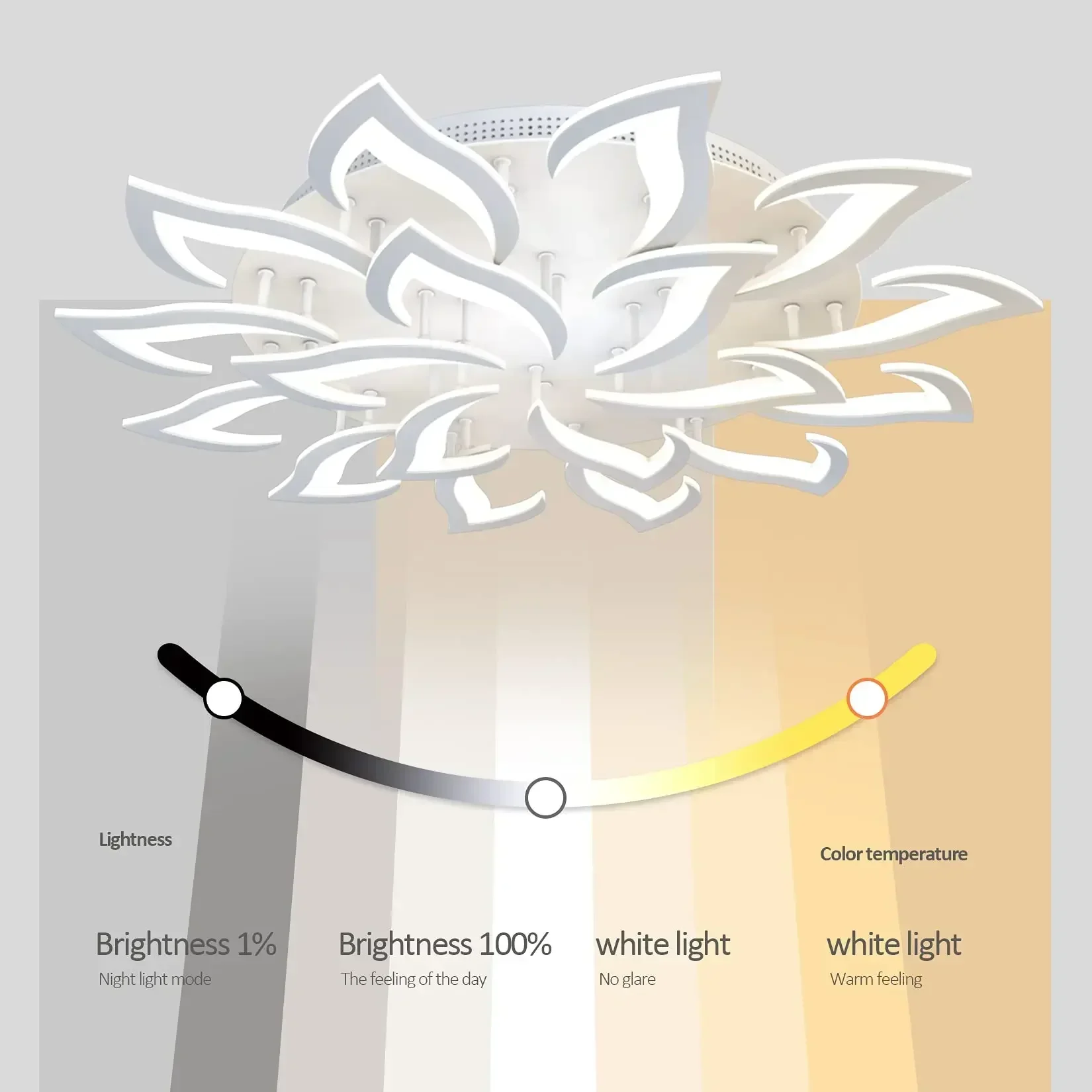 Designer LED-bloemblaadjeskroo - Interior Design Luxury Living Room recensie en prijs