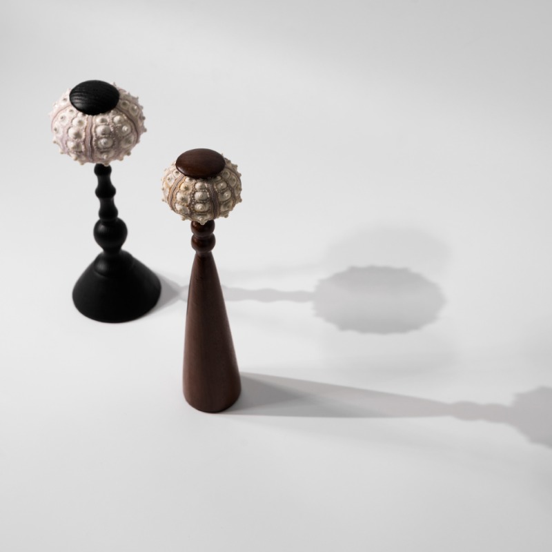 Creatieve Conch Sculptuur Hand - Interior Design Exhibition recensie en prijs