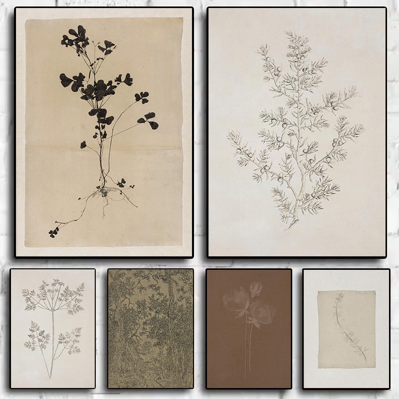 Vintage minimalistische olijft - Interior Design Sketch recensie en prijs