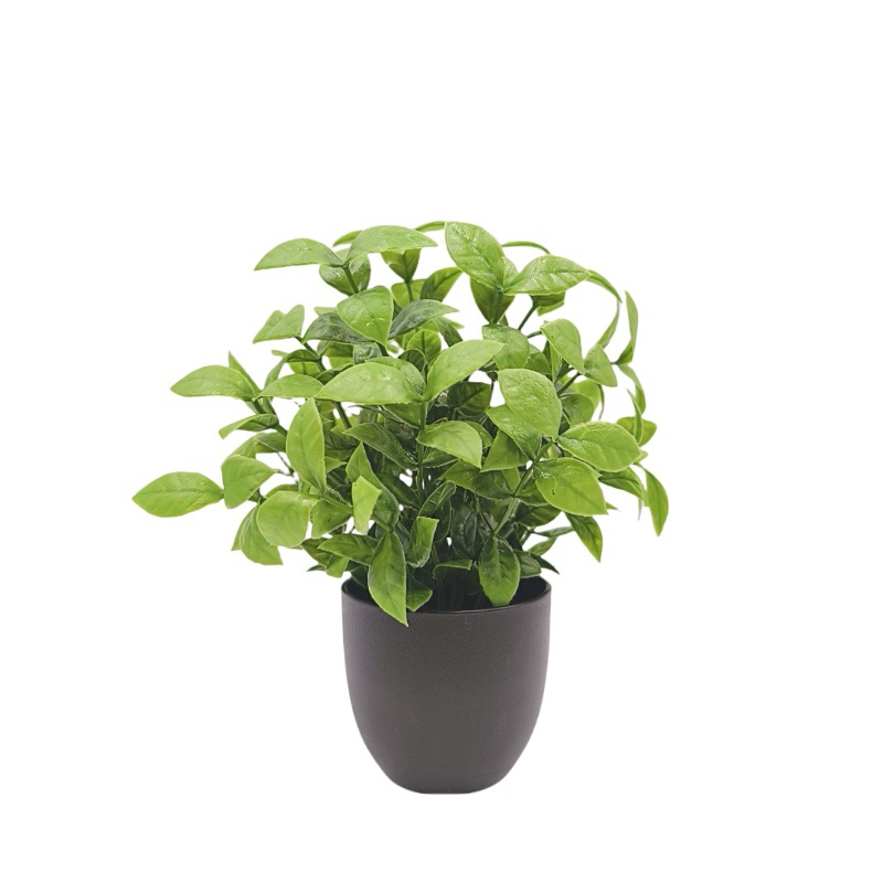 Simulatie Groene Plant Bonsai  - Interior Design Office recensie en prijs