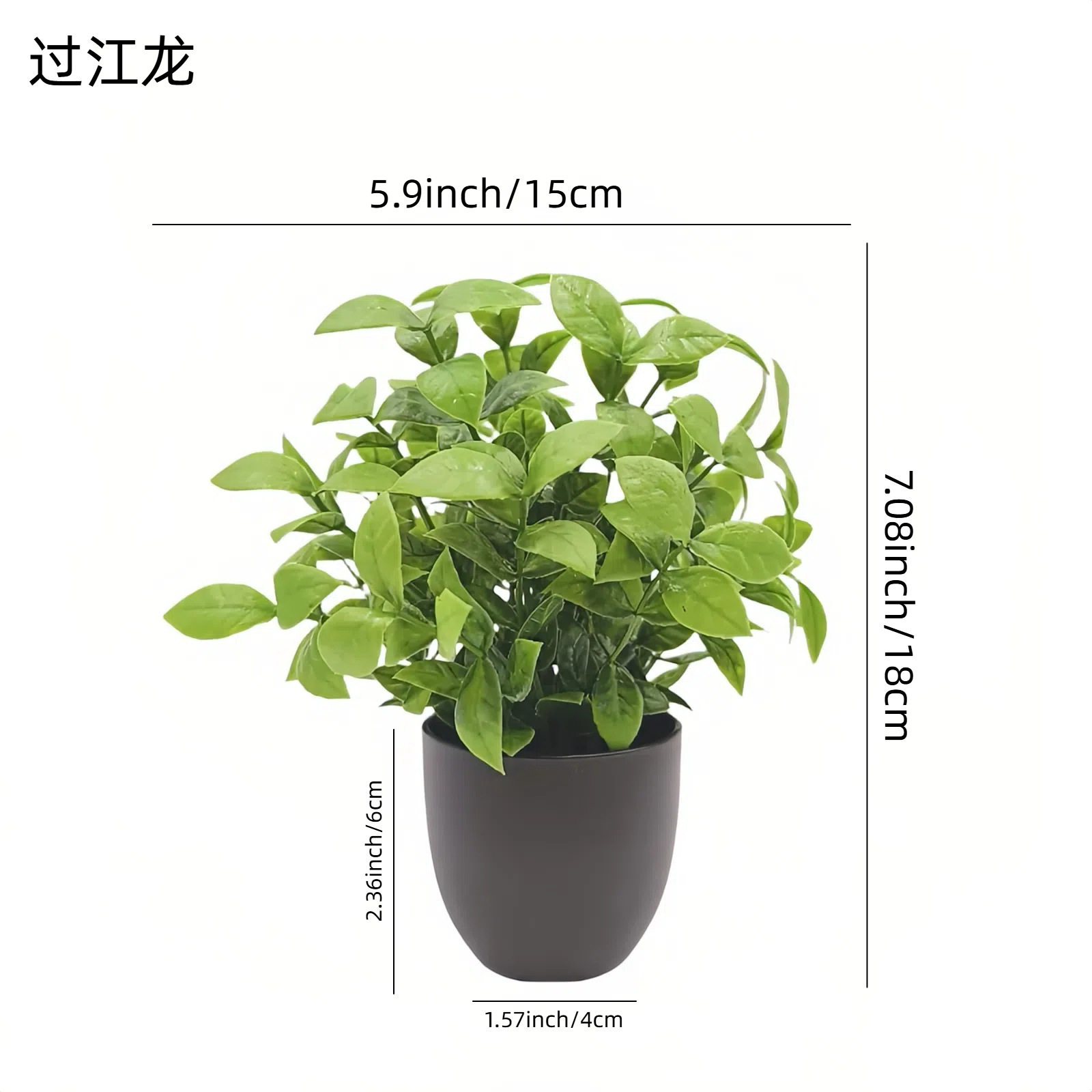 Simulatie Groene Plant Bonsai  - Interior Design Office recensie en prijs